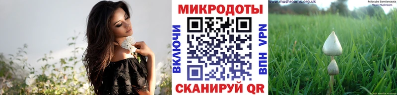 mega как зайти  Ермолино  Галлюциногенные грибы GOLDEN TEACHER 