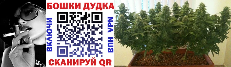 МАРИХУАНА SATIVA & INDICA  Ермолино 